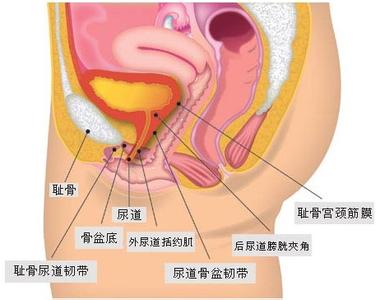 痒、红肿、疼痛,男性尿道感染的症状你不可不知!