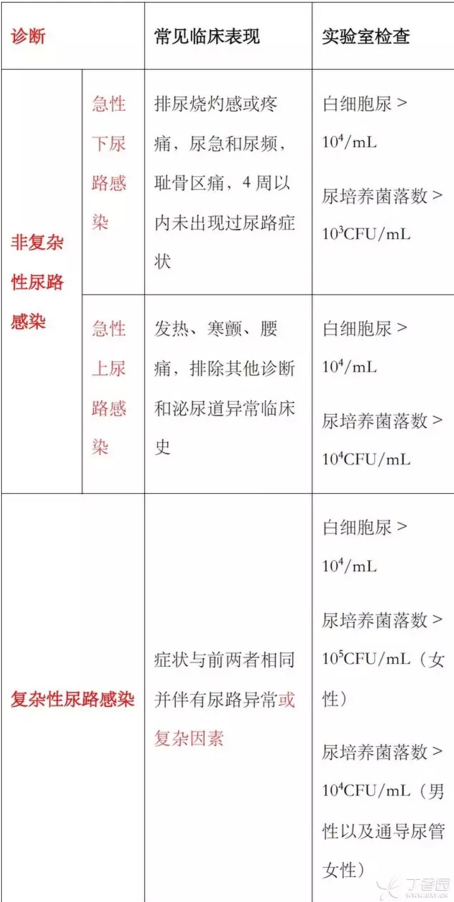 尿路感染临床表现