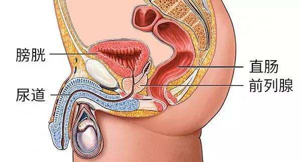 急性前列腺炎的危害